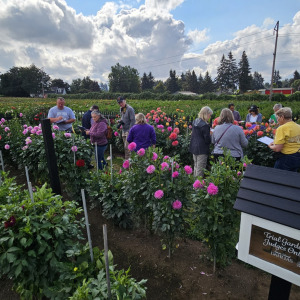 2024 Canby Judging Training Event