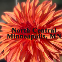 North-Central-Plug