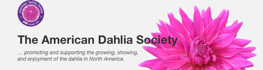 The American Dahlia Society